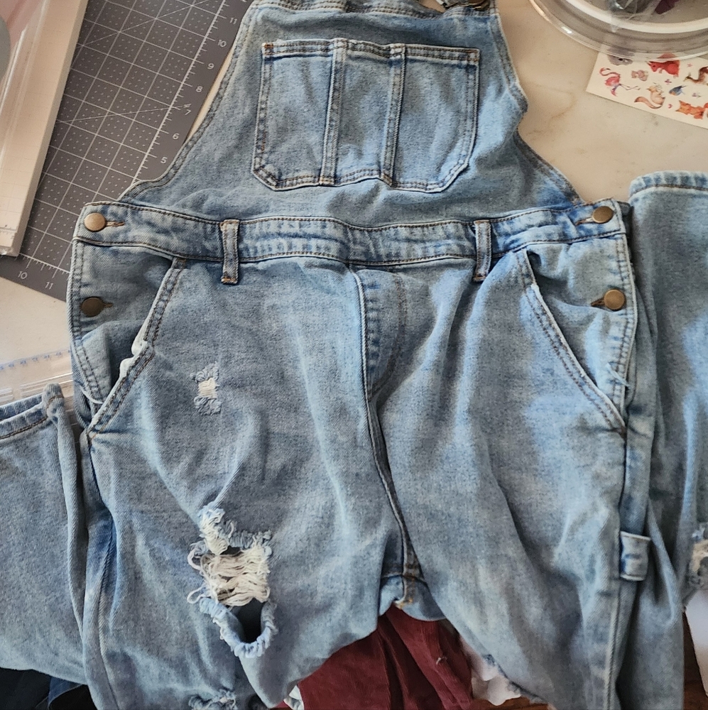 Wild Fable Large Overalls